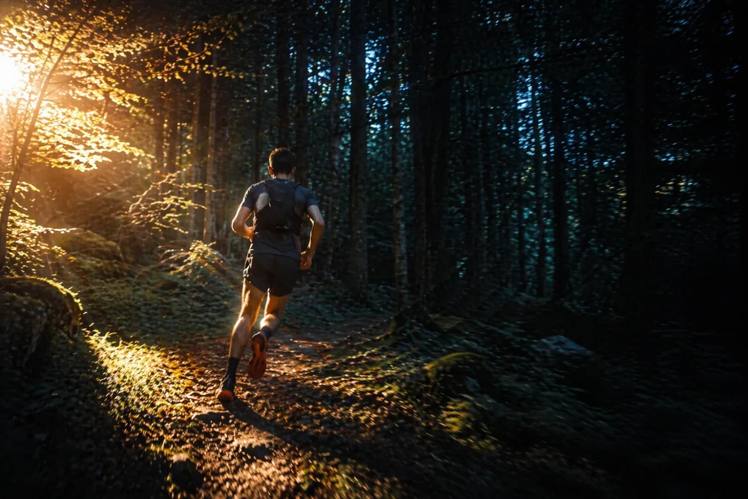 Trail runner dans un sous-bois traversé par la lumière du matin — contraste ombre / soleil